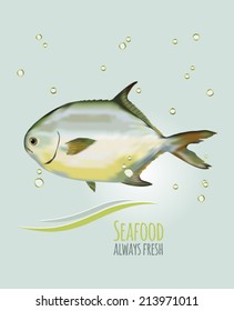 Golden Pompano Fish layered vector illustration. Detailed sea fish image. Sea theme banner, background & wave icon for food package labeling, seafood restaurant & sea theme decorations. Sample text.