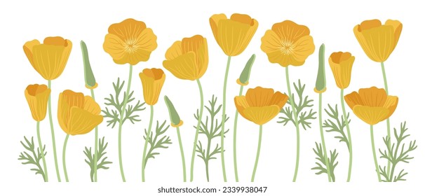 golden poppy, field flowers, Eschscholzia californica, vector drawing wild plants at white background, floral elements, hand drawn botanical illustration