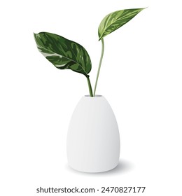 Golden pothos or devil's ivy in white ceramic vase isolated minimalist graphic illustration. Epipremnum aureum in a pot.