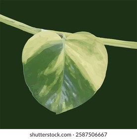 golden pothos leaf object vector image, isolated on dark green background