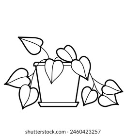 Golden Pothos (Scindapsus Aureum) in pot, home decor. Popular houseplant.  Outline illustration, design elements or page of coloring book.