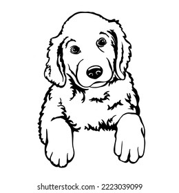 Golden Puppy dog Labrador Retriever. Line Art. Template. Nahaufnahme. Clipart. Handgemälde. Ink. Schwarz-Weiß. Vektorschnitt. Silhouette. 