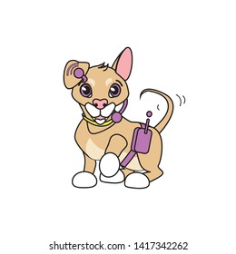 Golden puppy wags its tail and smiles. Dog has the equipment, and he speaks on the microphone. It may be a young working dog.