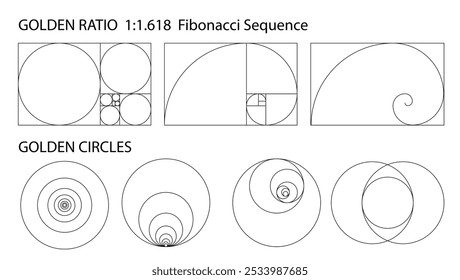 Golden ratio 1:1.618. Harmony proportions vector template. Editable stroke. Ratio used in design for well balanced proportion.