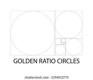 Golden Ratio Circles Vector Illustration Stock Vector (Royalty Free ...