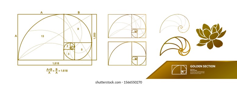 Golden ratio for creative design vector illustration.