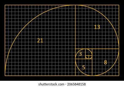 Golden Ratio Fibonacci. A spiral for harmony, composition, logos and designs. Correct proportions.