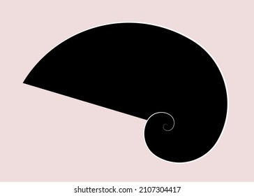Golden ratio. Fibonacci spiral, golden section, divine proportion, Black Nautilus Shell Showing Spiral, vector illustration isolated on light pink background