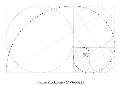 Concepto geométrico de cociente dorado. Espiral fibonacci. Ilustración del vector