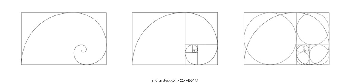 Golden ratio icon. Logarithmic spiral in rectangle frame fracted on squares and circles. Fibonacci sequence sign. Ideal symmetry proportions template for photography. Vector outline illustration