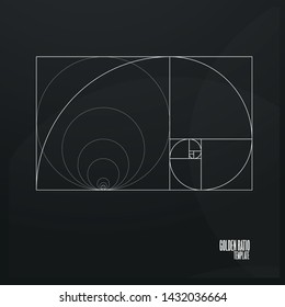 Golden ratio illustration template vector