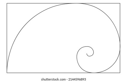 Golden ratio logarithmic spiral in rectangle frame. Harmony nature ideal proportions template. Nautilus shell shape. Leonardo Fibonacci sequence sign. Symmetry symbol. Vector outline illustration