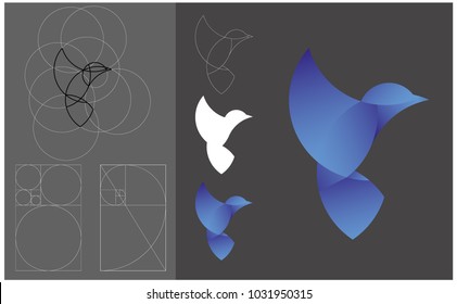 golden ratio logo. Bird Logo Template Made With Golden Ratio Principles.hummingbirds logo.