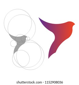 golden ratio logo. Bird Logo Template Made With Golden Ratio Principles.hummingbirds logo.