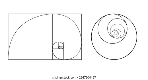 Goldenes Quotient auf weißem, isoliertem Hintergrund. Vektorgrafik
