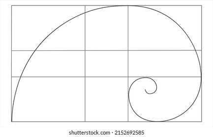 Signo de proporción dorada. Espiral logarítmica en rectángulo. Secuencia Fibonacci. Forma de la concha de Nautilus. Plantilla de proporciones de simetría de naturaleza perfecta para fotografía. Ilustración gráfica del vector