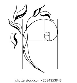 Golden ratio spiral with botanical elements plant minimal line drawing.Black and white leaves with sacred geometry, balance and natural harmony for logo, posters, tattoos, branding.Vector illustration