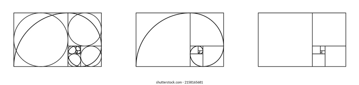 Golden ratio spiral. Golden Fibonacci proportion section with line and grid in rectangle. Fibonacci ration pattern geometry design, logo, background. Vector. Divine math squares with circles.