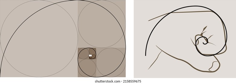 GOLDEN RATIO SPIRAL WITH HAND, FIBONACCI SEQUENCE