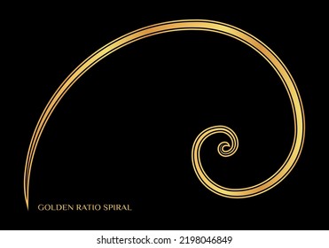 Golden Ratio Spiral template. Vector illustration of a golden geometric spiral on a black background. Vector template proportion icon or sign.