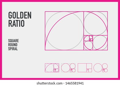 Golden Ratio Square Ratio Circle Ratio Stock Vector (royalty Free 