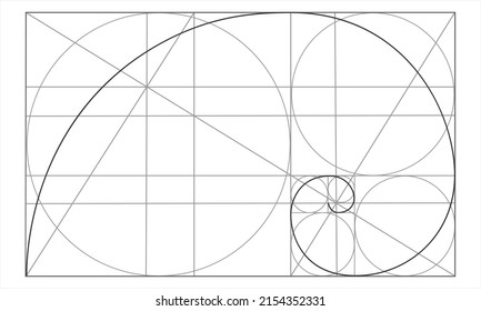 Plantilla de ratio de oro. Espiral logarítmica en rectángulo con círculos y líneas de cruce. Forma de la concha de Nautilus. Secuencia Fibonacci. Cuadrícula de proporciones de simetría ideal. Ilustración del contorno del vector