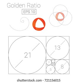 golden ratio template logo vector illustration fibonacci
