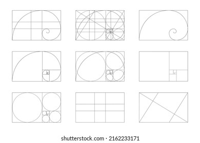 Conjunto de plantillas de ratio de oro. Signos de secuencia fibonacci. Espiral logarítmica en marco rectangular fraccionada en líneas, cuadrados y círculos. Diseño de proporciones de simetría ideal. Ilustración gráfica del vector