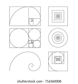 golden ratio template vector illustration fibonacci