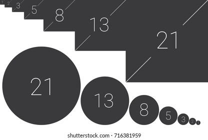 golden ratio template vector illustration fibonacci
