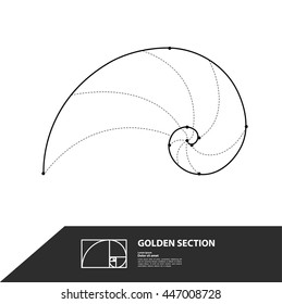 Golden ratio vector.