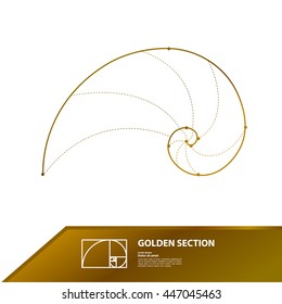 Golden Ratio vector