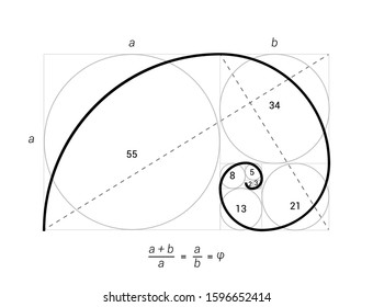 Golden ratio vector proportion spiral section. Fibonacci golden ratio geometry.