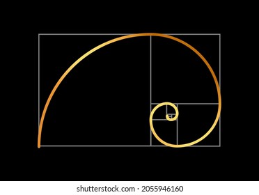Golden ratio vector proportion spiral section. Fibonacci golden ratio geometry