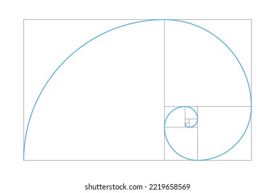 Golden ratio vector spiral shape in fibonacci grid on white background