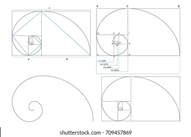 Golden ration section line frame vector