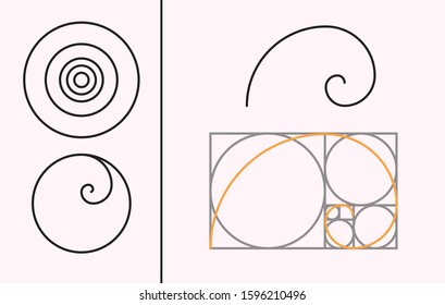 2,755 Golden Ration Images, Stock Photos & Vectors | Shutterstock