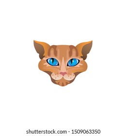 Golden red cats face with blue eyes vector illustration