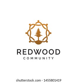 Golden Redwood Tree Inside Wavy Frame Logo Design