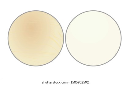 Golden reflector for photography. vector illustration