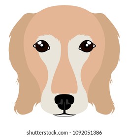 Golden retriever avatar