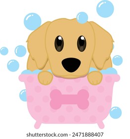 Golden retriever in bath tub