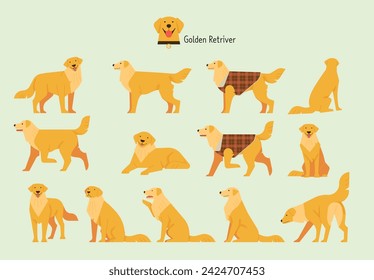 Golden Retriever Behavior Bundle Set. flat vector illustration.