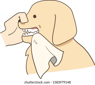 golden retriever - brushing teeth (cloth)