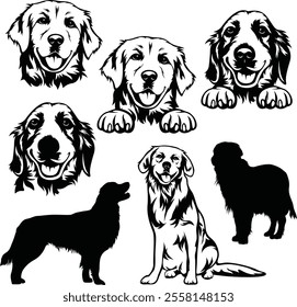 Golden Retriever Bundle Set Bundle