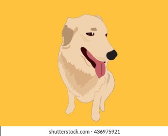 Golden retriever cartoon