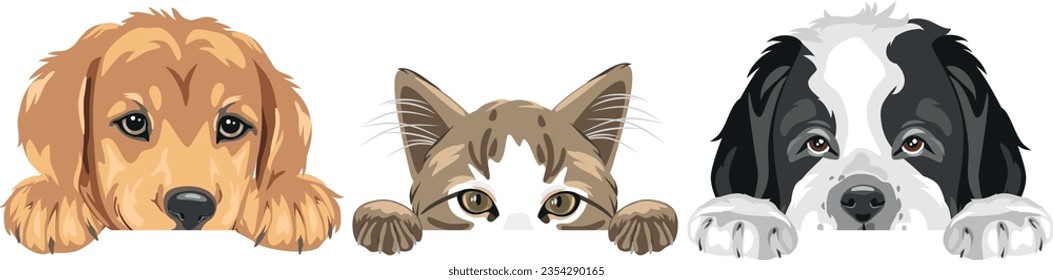 Golden Retriever, cat and Saint Bernard dog are best friends. Vector - Shutterstock ID 2354290165