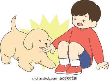 golden retriever - child and angry puppy