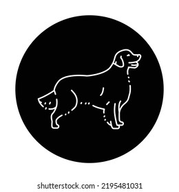 Golden retriever color line icon. Dog breed. Pictogram for web page, mobile app, promo.