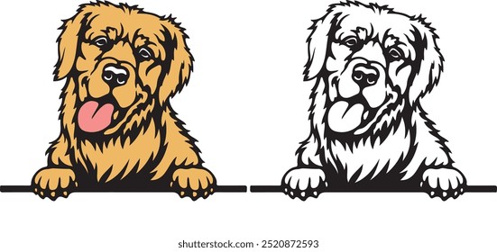 Golden retriever color peeking dogs vector, white background, vector illustration